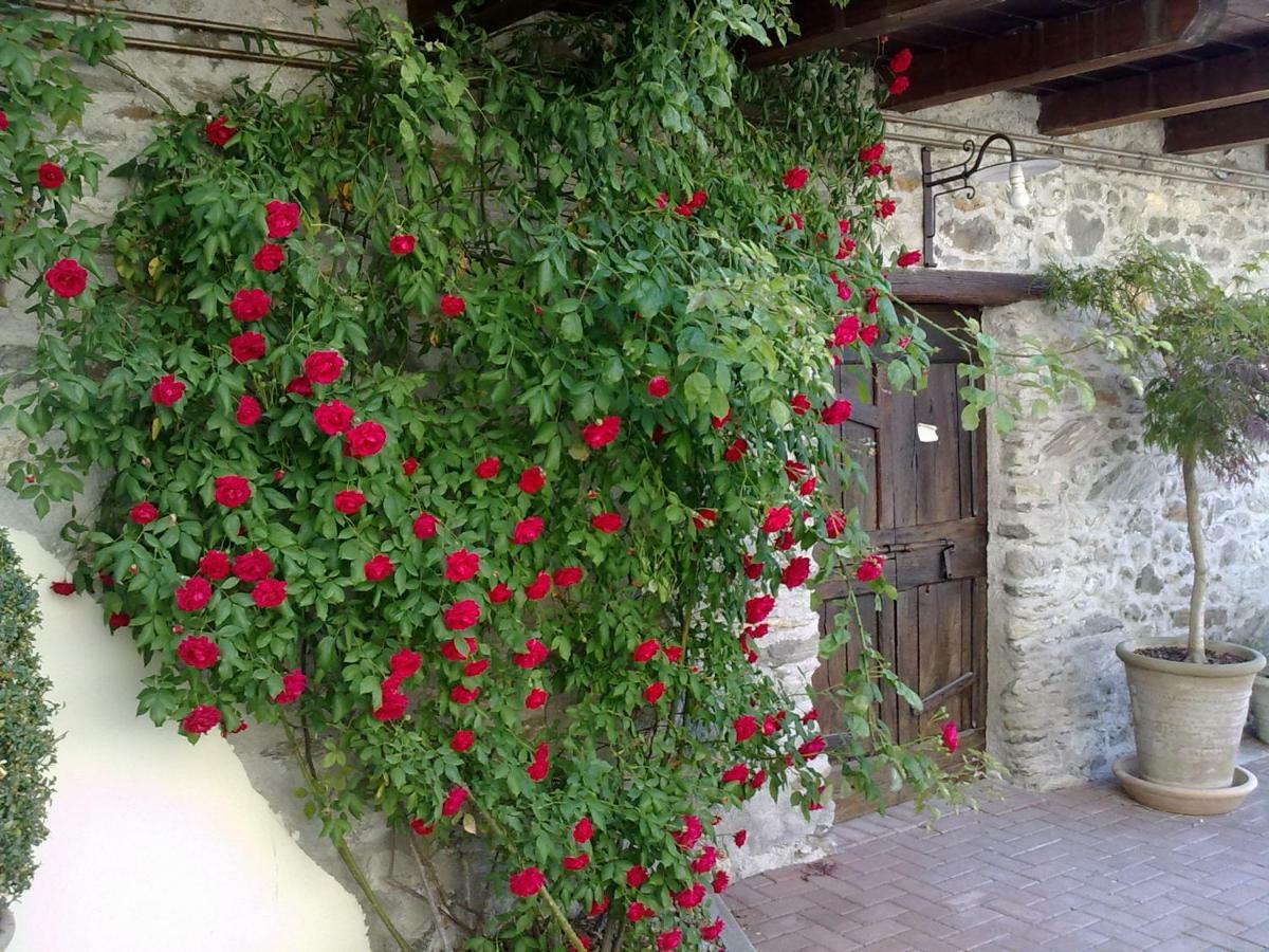 Residenza Antica Corte Villa Picta Buglio in Monte Exteriér fotografie
